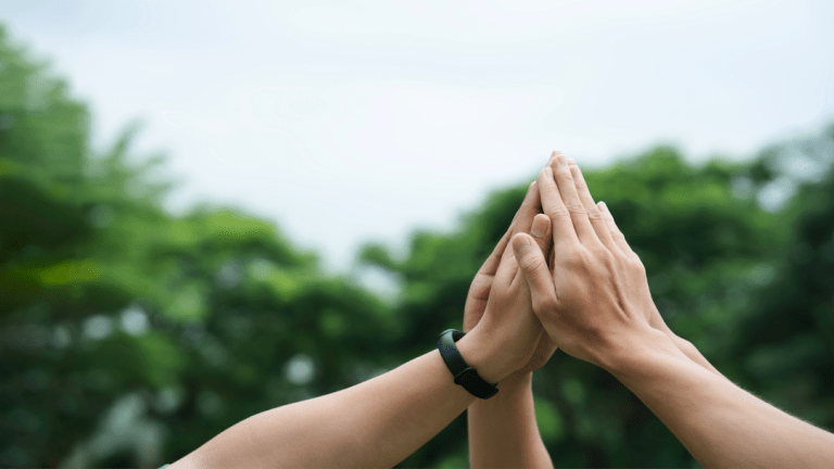Image of three hands pointed towards the sky with the background of a forest